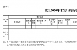 电竞游戏官网债券信息公开（截至2020年末）